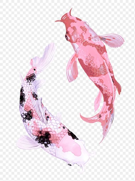 Pink Koi Fish, Koi Fish Illustration, Sakura Painting, Koi Fish Swimming, Koi Fish Drawing, Japanese Koi Fish, Easy Things To Draw, Carp Fish, Sakura Art