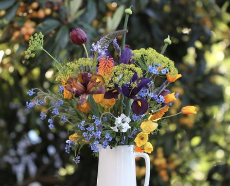 Native Flower Arrangements, California Native Flowers, Wildflower Arrangements, Thursday Inspiration, California Plants, Eastern Redbud, Hydrangea Arborescens, California Native Plants, Australian Native Flowers