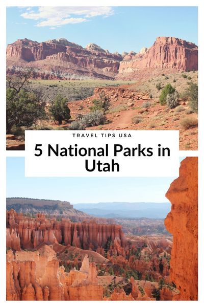 The state of Utah is home to five National Parks and they are absolutely gorgeous. In this article, I�ll tell you all about the Utah National Parks. #USA #roadtrip #Southwest National Parks In Utah, West Coast Travel, California Travel Guide, Visit Utah, The Narrows, East Coast Travel, Utah Road Trip, Utah Hikes, Hiking Photography