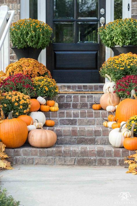 Fall Porch Mums And Pumpkins, Porch Styling, Thanksgiving Porch, Fall Container Plants, Autumn Porch, Mums In Pumpkins, Deco Halloween, Outside Fall Decor, Fall Mums