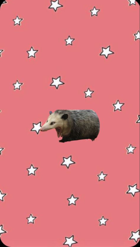 Opossum Wallpaper, Possum Wallpaper, Worm Wallpaper, Drawings Simple, Reading Book, Art Drawings Simple, Phone Backgrounds, Phone Wallpapers, Bugs