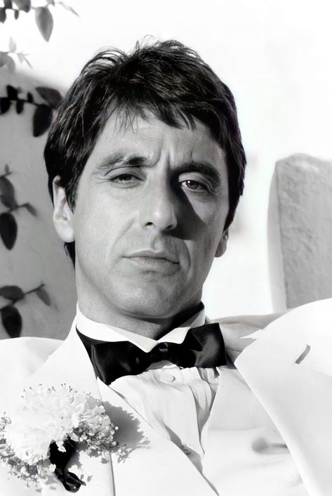 Al Pacino | Scarface movie, Al pacino, Film inspiration Scarface Tattoo, Al Pacino Scarface, Montana Tattoo, Young Al Pacino, Scarface Movie, Sir Anthony Hopkins, Mafia Gangster, Gangster Movies, Tony Montana