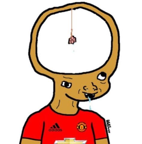 Manchester United Meme, Manchester United, Manchester, Soccer, Football