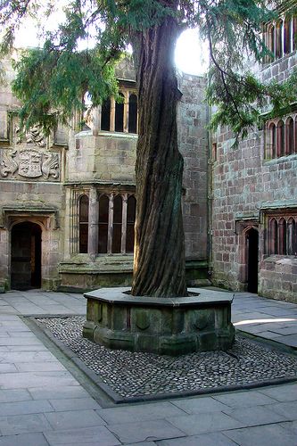 Skipton Castle Courtyard. Castle Courtyard Aesthetic, Medieval Castle Garden, Medieval Castle Courtyard, Courtyard Aesthetic, Cabin Castle, Medieval Courtyard, Midevil Castle, Skipton Castle, Motte And Bailey