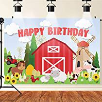 Check this out on Amazon Old Macdonald Birthday, Farm Backdrop, Barn Backdrop, Farm Animals Birthday, Animal Party Decorations, Cow Birthday Parties, Door Backdrops, Farm Themed Party, Old Macdonald