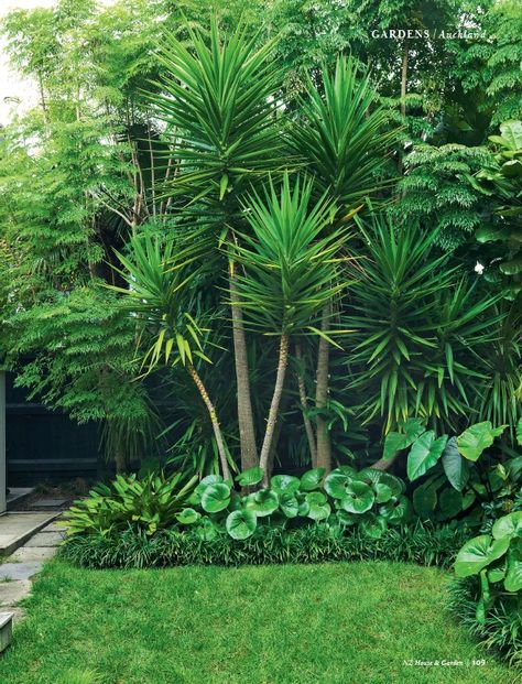 Plants And Pots Ideas, Tropical Garden Inspiration, Nz Landscape Design, Beautiful Backyard Garden Inspiration, Hibiscus Garden Landscaping, Tropical Garden Design Landscaping, Tropical Courtyard Garden, Auckland Garden, Modern Tropical Garden