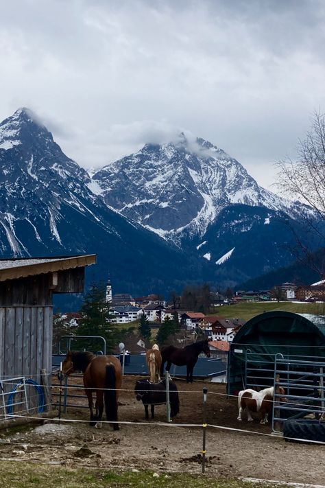 Horses in the Austrian Alps🐎🏔️ House In Switzerland, Austrian Alps, House Aesthetic, Places I Want To Go, Switzerland, Dream House, Farmhouse, Horses, Travel