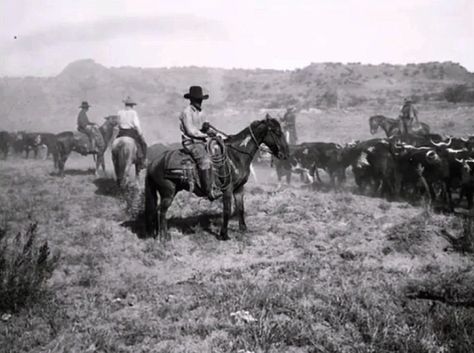 Cattle Drive | Cattle drive Circa 1880's... | Midnight Believer | Flickr Cattle Drive Aesthetic, Cattle Background Wallpapers, Cattle Drive Painting, Hereford Cattle Photography, Show Cattle Photography, Fur Trapper, Cattle Drive, Western Vibes, Cowboys And Indians