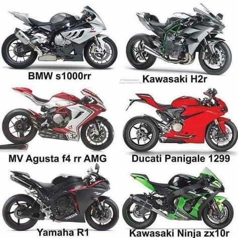 Types Of Motorbikes, Sports Touring Motorcycles, Types Of Motorcycles, Motor Balap, Ninja Zx10r, Motorcycle Tips, Motocross Love, Kawasaki Bikes, Motor Mobil