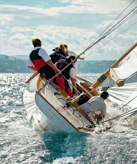 Navi A Vela, Classic Sailing, Classic Yachts, Sailing Vessel, Classic Boats, Yacht Boat, Yacht Charter, Tall Ships, Sailing Yacht