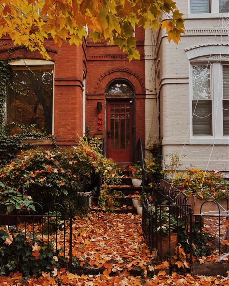 Autumn In Dc, Autumn San Francisco, Washington Fall Aesthetic, Deep Fall Aesthetic, Washington Dc Aesthetic Fall, Washington Dc Fall Aesthetic, San Francisco Fall Aesthetic, Fall Nostalgia Aesthetic, Fall In Washington Dc