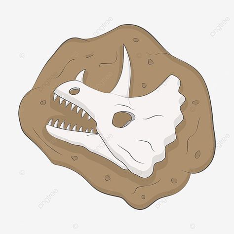 Fossil Rocks, Horned Dragon, Bone Drawing, Dino Dig, Fossil Art, Dinosaur Head, Dragon Skull, Skeleton Illustration, Fish Fossil