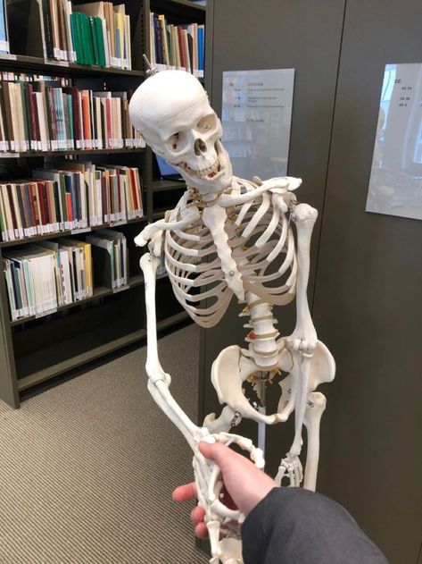 Skeleton Studying, Med School Aesthetic, Medical Skeleton, Skeleton Medical, Female Surgeon, Aesthetic Doctor, Medical School Life, Medicine Studies, Medical Student Motivation