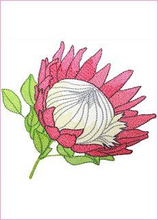 5 African Protea Embroidery Designs - 2 Sizes - 4x4' and 5x7'  * The National flower of South African is the King Protea * Beautiful South African flowers to enjoy! Protea Embroidery, African Embroidery Designs, Africa Artwork, South African Flowers, Kitchen Embroidery Designs, Protea Art, South African Art, Protea Flower, National Flower