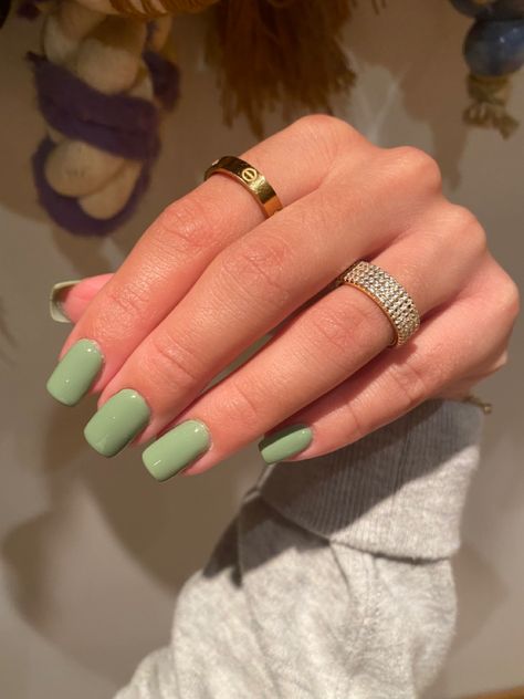 Square Green Nails Acrylic, Green Coffin Short Nails, Pastel Green Nails Square, Gel Nail Plain Colors, Square Acrylic Nails Sage Green, Solid Color Green Nails, Short Light Green Acrylic Nails, Short Green Manicure, Pastel Gel Manicure