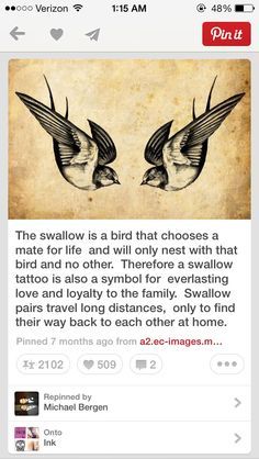 Swallows also represent a symbol towards the LGBT community. Harold.. Mate For Life Tattoo, Swallow Tattoo Meaning, Bird Swallow, Simbols Tattoo, Swallow Bird Tattoos, Vogel Tattoo, Super Tattoo, Sparrow Tattoo, Petit Tattoo