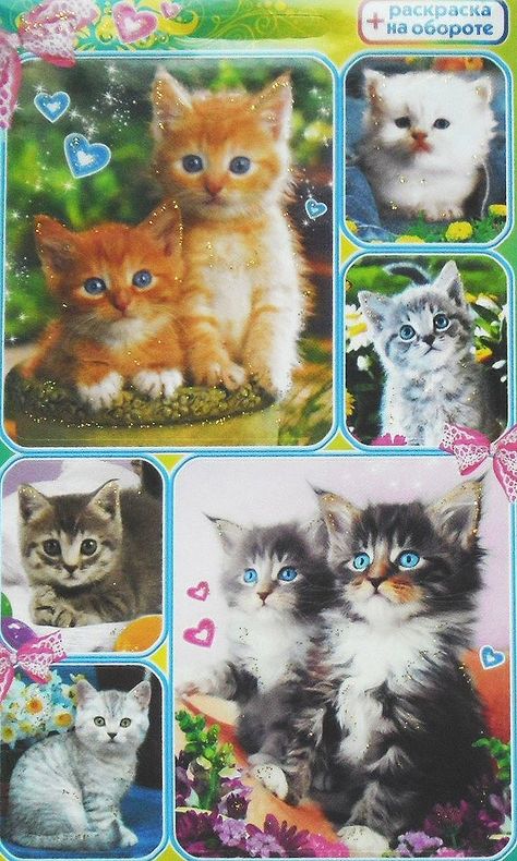 Cats Stickers, Glitter Stickers, Retro Cats, Silly Animals, Silly Cats, Cat Stickers, Video Editor, 귀여운 동물, Cat Pics