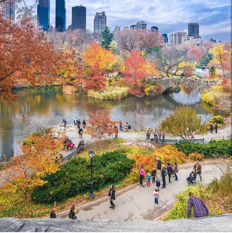 Central park, New york, the pond. Conservatory Garden, Autumn Scenery, Peaceful Places, Airline Tickets, The Pond, Air Travel, Travel Bugs, Ways To Save Money, Making Friends