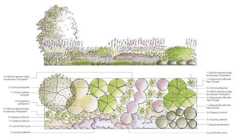 Learn how to create a Planting plan for a home garden design. Creating a Mood Board and Plan for your garden will help you stay on track with your design ideas and goals. Your Backyard layout has many elements, and learning how map them together (through an organized garden design process) is key to achieving your dream garden. Avoid overwhelm and discouraging landscape fails with tips, tools, and help from a garden designer with over 20 years of experience in gardens around the world. Planting Design Plan, Landscape Design Software, Space Garden, Landscape Design Drawings, Planting Design, Planting Plan, Garden Design Layout, Garden Design Plans, Landscape Design Plans