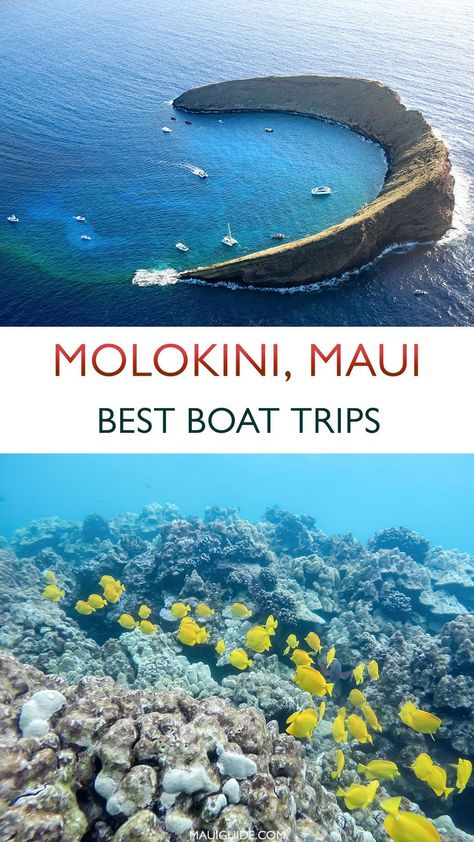 Molokini Crater Snorkeling, Hawaii 2023, Molokini Crater, Hawaii Snorkeling, Hawaii Cruise, Hawaii Trip Planning, Maui Snorkeling, Maui Itinerary, Maui Activities