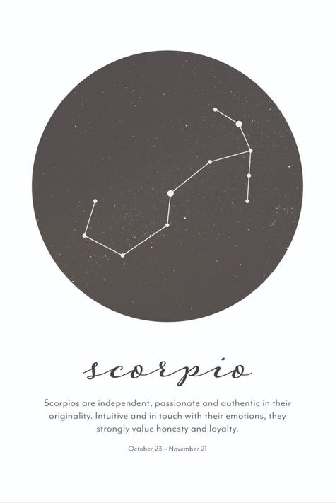 November Star Sign, Scorpio Star Constellation, Scorpio Zodiac Constellation, Star Constellation Tattoo, Constellation Scorpio, Grace Tattoos, Astrology Poster, Scorpio Star, Horoscope Tattoos