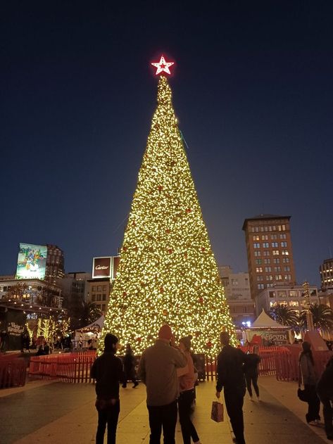 San Francisco Winter, Macys Christmas, Aesthetic San Francisco, San Francisco Christmas, Christmas In San Francisco, San Francisco Aesthetic, Union Square San Francisco, Au Pair, Union Square