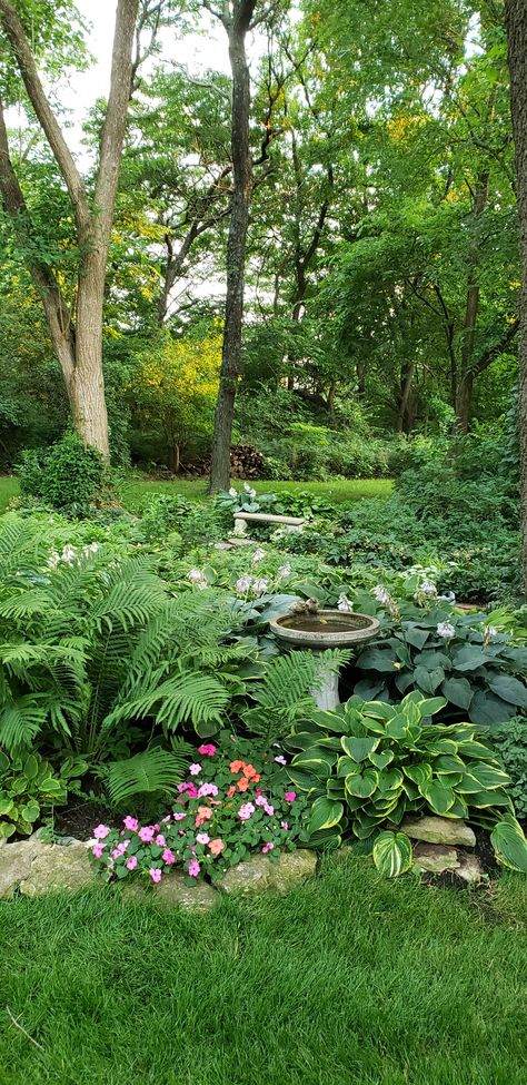 Tiered Shade Garden, Shade Backyard Ideas, Hosta Gardens Layout, Shade Garden Design Layout, Large Yard Landscaping Ideas, Hosta Garden Ideas, Forest Landscaping, Shady Backyard, Large Yard Landscaping