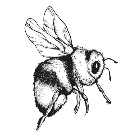 Free vector hand drawn bee drawing illus... | Free Vector #Freepik #freevector #bee-drawing #animal-coloring #animal-drawing #drawing Bee Coloring, Bee Sketch, Honey Bee Tattoo, Bee Coloring Pages, Bee Drawing, Bee Clipart, Buzzy Bee, Stippling Art, Bee Illustration