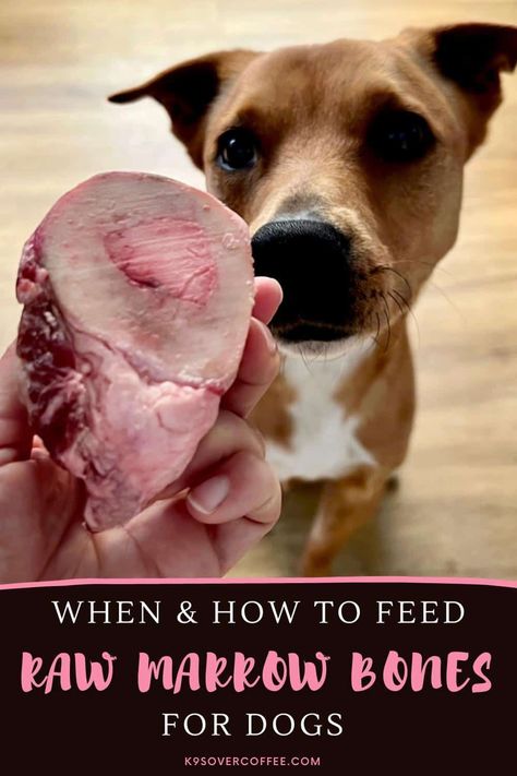 Marrow Bones For Dogs, Bone Marrow Broth, Marrow Recipe, Beef Marrow Bones, Roasted Bone Marrow, Raw Dog Food Diet, Boiled Beef, Raw Pork, Dog Joints