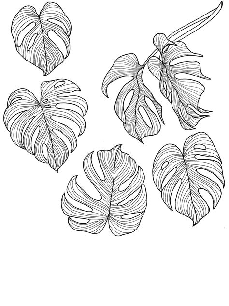 Philodendron Drawing, Monstera Tattoo, Leaves Outline, Botanical Mandala, Beach Tattoos, 5 Tattoo, Leaves Embroidery, Flower Tattoo Drawings, Leaf Outline