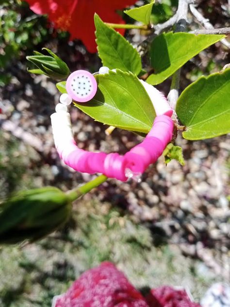 Dragon Fruit for Sale in Tracy, CA - OfferUp Dragon Fruit, Clay Beads, Bracelet Designs, Beaded Bracelets, Fruit