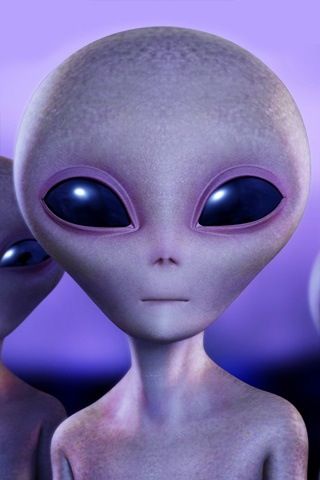 Alien Fermi Paradox, Grey Alien, The Aliens, Aliens Funny, Space Aliens, Aliens And Ufos, William Shatner, Identity Theft, Ancient Aliens