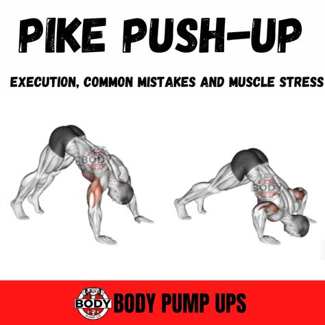 Pike Push Up

If you’re looking for a straightforward push-up exercise to add to your shoulder workout routine, pike push-ups are a great staple exercise to get you started.

Pike Push-ups aka shoulder push up is a variation of the push-up that increases strength and stability in the shoulders and triceps. 
push #pushup #pickpushup #elevatedpikepushups #elevatedpikepushup #elevatedpickguard #pushupchallenge #pushupworkout #workoutathome #workoutatgym #gympushup #arm #triceppushup #pushuptriceps Pike Push Up Exercise, Push Up Muscles, Pike Pushup, Tricep Pushup, Shoulder Push Ups, Pushup Variations, Shoulder Workout Routine, Push Day, Push Up Workout