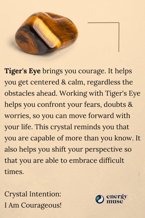 Tigers Eye Meaning, Crystals Meaning, Ritual Oils, Stone Meanings, Stone Quotes, Energy Muse, Crystal Witch, Golden Tiger, Energy Healing Reiki