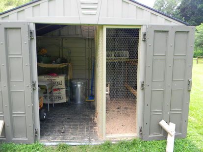 shed converted to chicken coop, homesteading, outdoor living, pets animals Build Your Own Chicken Coop, Cheap Chicken Coops, Urban Chicken Farming, Portable Chicken Coop, Chicken Coup, Urban Chickens, Coop Design, Chickens And Ducks, Best Chicken Coop