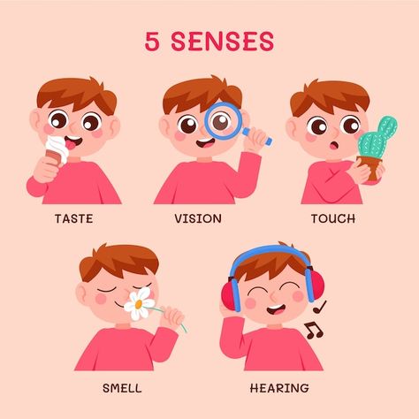 Free vector hand drawn 5 senses illustra... | Free Vector #Freepik #freevector #five-senses #senses #eye-illustration #hand-drawn-illustration 5 Senses Illustration, Senses Illustration, Sense Organs Chart, My 5 Senses, Senses Activity, Sense Organs, Classroom Charts, Senses Activities, Eye Illustration