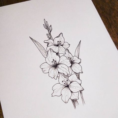 379 Likes, 9 Comments - Carina (@carina_lettering) on Instagram: “#gladiolus for #botanicalchallenge #botanicallinedrawing with @botanicallinedrawing drawn with…” Gladiolus Flower Tattoos, Larkspur Tattoo, Gladiolus Tattoo, Simple Flower Tattoo, Gladiolus Flower, Tattoo Zeichnungen, Muster Tattoos, Small Flower Tattoos, Flower Tattoo Arm