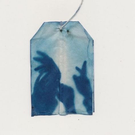 Cyanotype Process, Rose Tree, Jasmine Green Tea, Amazon Decor, Experimental Photography, Gcse Art, Love To Meet, Ap Art, A Level Art