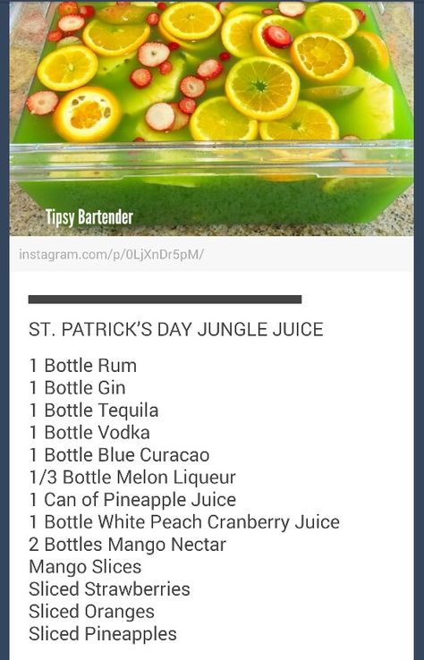 St Patrick's Day Jungle Juice  The color reminds me of Hi-C's Ecto Cooler growing up. Ah, and now... an adult version! :) Birthday Party Ideas 21st, Birthday Party Ideas For Adults, St Pattys Party, Alcohol Fruit, Ecto Cooler, St Patricks Food, Jungle Juice Recipe, Ideas For Birthday Party, Blackberry Lemonade