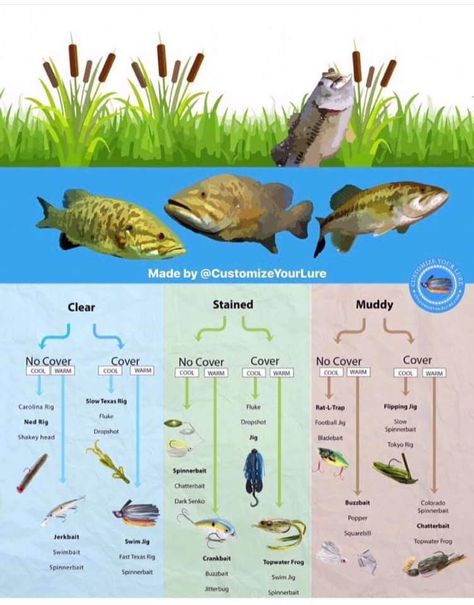 Fishing Setup Ideas, Fishing For Beginners Tips, Fishing Rod Setup, Best Bass Lures, Fishing Tricks, Fish Chart, Crappie Fishing Tips, Pesca In Mare, Largemouth Bass Fishing