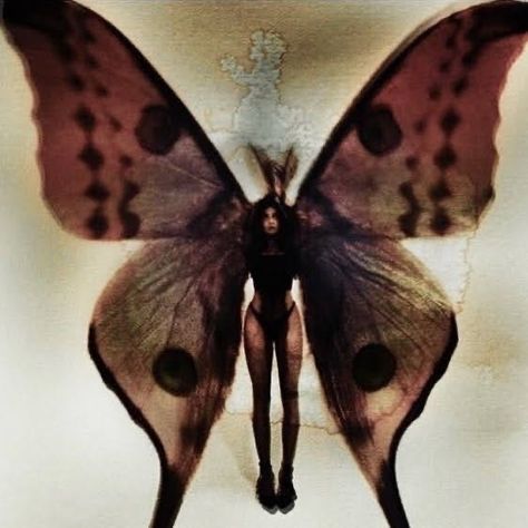 Dana Trippe, Papillon Butterfly, Mazzy Star, Fairy Aesthetic, Dark Fairy, Arte Inspo, My Posts, No Credit, Pics Art