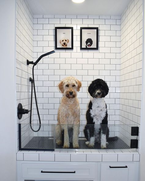 Dog Station, Pet Washing Station, Dog Spa, Dog Washing Station, Dog Room, Pet Spa, Dog Grooming Business, Dog Wash, Dog Shower