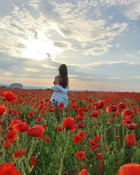 Red landscape Poppy Field Photoshoot, Poppy Pictures, Field Photoshoot, Poppy Field, Grad Photos, Photoshoot Ideas, Photo Ideas, Poppies, Instagram Photos