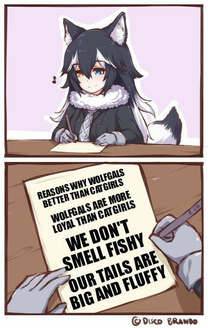 Fluffy Tail, Kemono Friends, Wolf Girl, Anime Wolf, Anime Jokes, Anime Memes Funny, Anime Meme, Cute Comics, Cat Girl