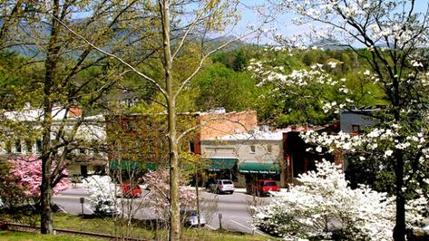 5. Tryon, NC Tryon Nc, North Carolina Attractions, Mountain Community, Small Town Life, Garden Stand, Weekend Escape, Feeling Empty, Road Trip Planning, Weekend Trips