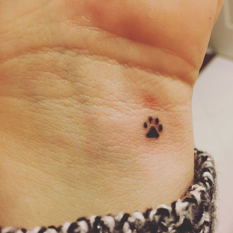 Small Paw Print Tattoo Finger, Tiny Dog Paw Print Tattoo, Dog Paw Tattoo On Wrist, Small Dog Silhouette Tattoo, Small Tattoos Pets, Simple Pawprint Tattoo, Tiny Cat Paw Print Tattoo, Small Cat Print Tattoo, Small Dog Paw Print Tattoo Ideas