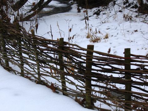 ooh, another small DIY fence.   if only i'd saved all those branches... Natural Fences, Twig Fence, Wattle Fence, Rustic Fence, Natural Fence, Living Fence, Brick Fence, Types Of Fences, Diy Fence