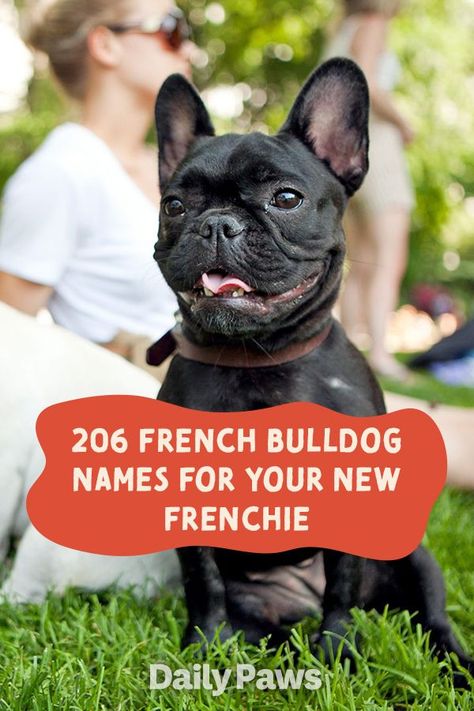 Cute French Bulldog Names, Names For French Bulldogs, Frenchie Dog Names, Frenchie Puppy Names, French Bulldog Names Boys, French Bulldog Names Girl, French Dog Names, Top Dog Names, Black Dog Names