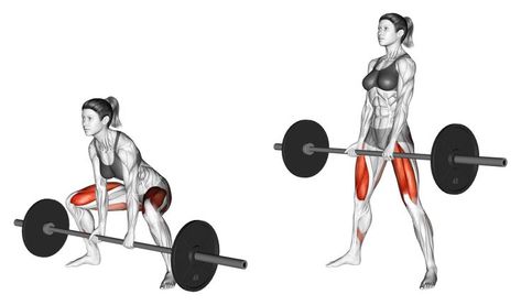 Chest And Tricep Workout, Sumo Deadlift, Barbell Deadlift, Powerlifting Training, Inner Thigh Workout, Triceps Workout, Thigh Exercises, Powerlifting, Taekwondo