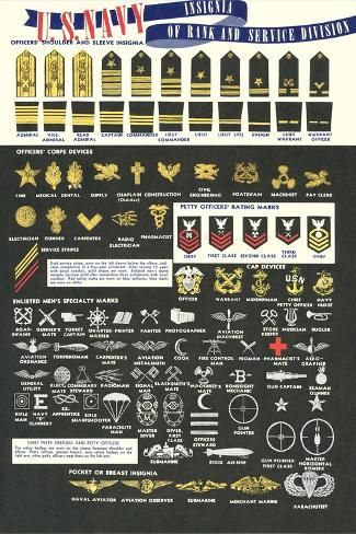 size: 18x12in Art Print: US Navy Rank and Service Insignia : Us Navy Ranks, Us Navy Themed Party, Us Navy Rank Insignia, Us Navy Women, Navy Insignia, Navy Ranks, Navy Badges, Army Ranks, Us Navy Seals